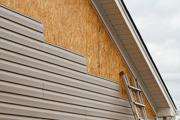 Professional Siding Repair technician working in Lake Alfred, FL